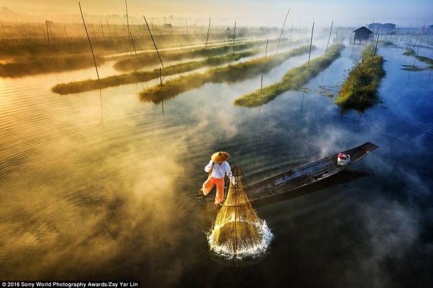 2DF29E7300000578-3296769-Zay_Yar_Lin_from_Burma_shared_this_image_of_a_fisherman_leg_rowe-a-1_1446458288444 - Copy