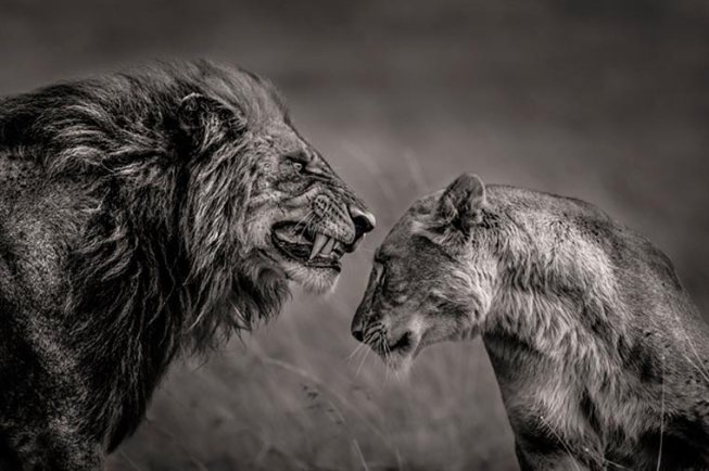 Mohammed-Yousef-2-Sony-World-Photography-Awards