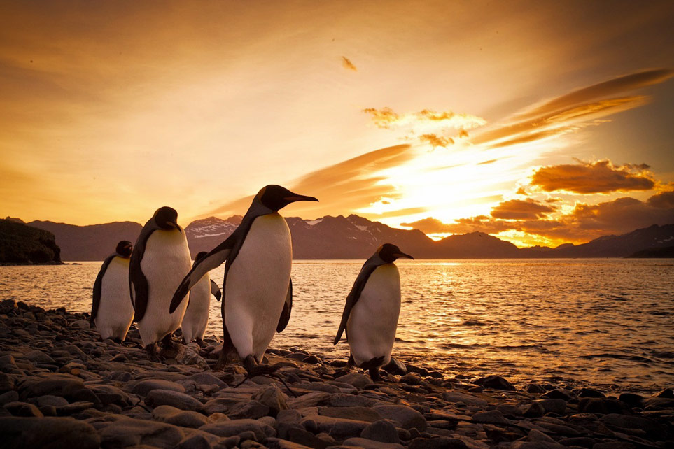 tumblr_mcik07Vro71qik6deo1_1280