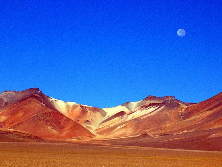 11392919_1612711542343090_5725089505994984251_n