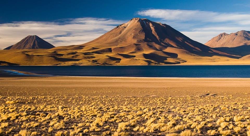 11393091_1612713105676267_3147131064440786628_n