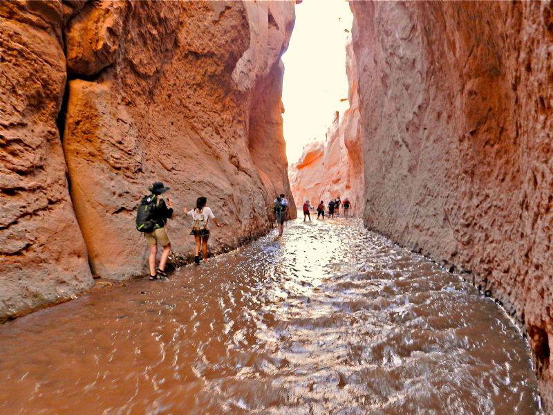 13260268_1747287632218813_6982518545394151453_n