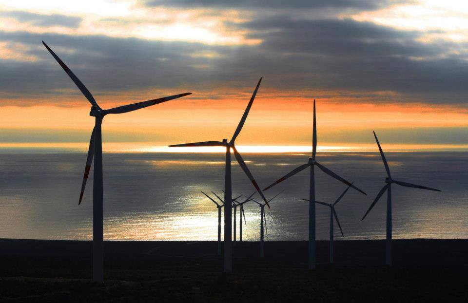 13265907_1747288005552109_9012443320477102401_n