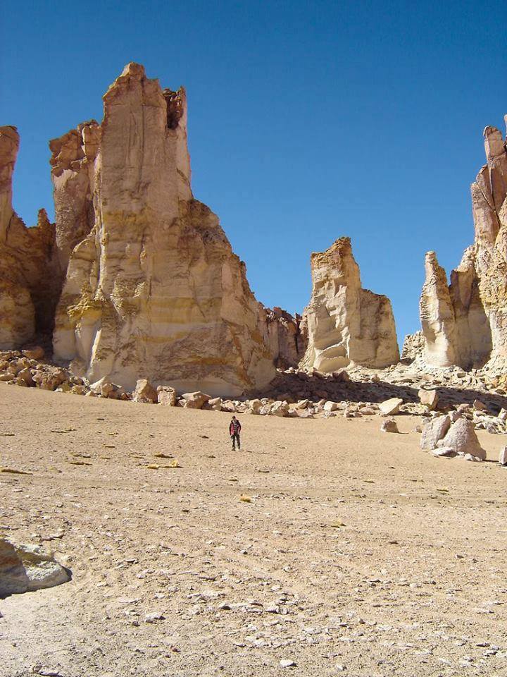 13265941_1742864402661136_5732275396710674106_n