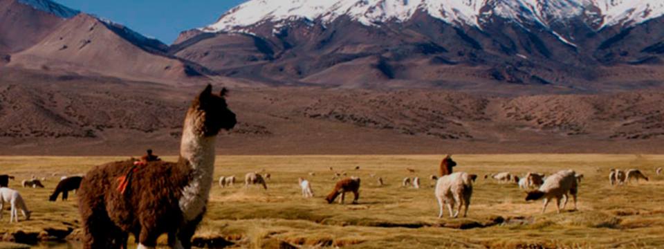 13445724_1755493301398246_6976533677451431892_n