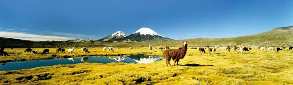 13533321_1764541837160059_7396373629049847096_n