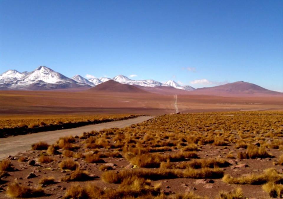 21001_1612713039009607_2537722471939372597_n