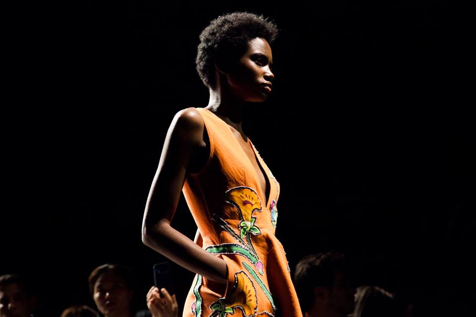 14322295_658671490968377_562452749541313390_n