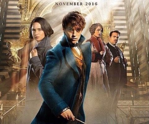 fantastic-beasts-and-where-to-find-them-movie