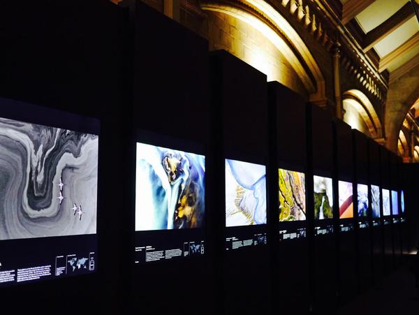 wildlife_photographer_of_the_year_2015_grande