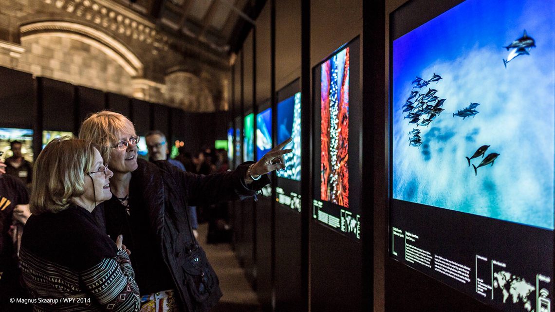 wpy-2014-gallery2-133424