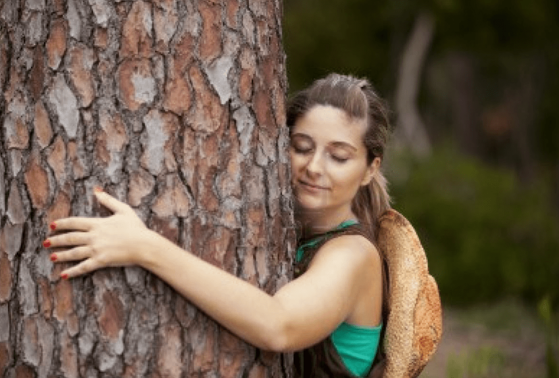 Screen Shot 2017-07-09 at 00.32.52