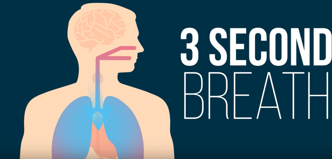 Screen Shot 2017-07-26 at 16.08.47