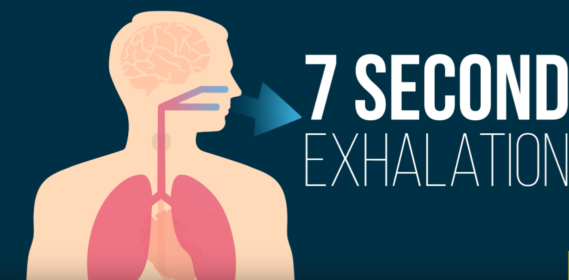 Screen Shot 2017-07-26 at 16.09.04