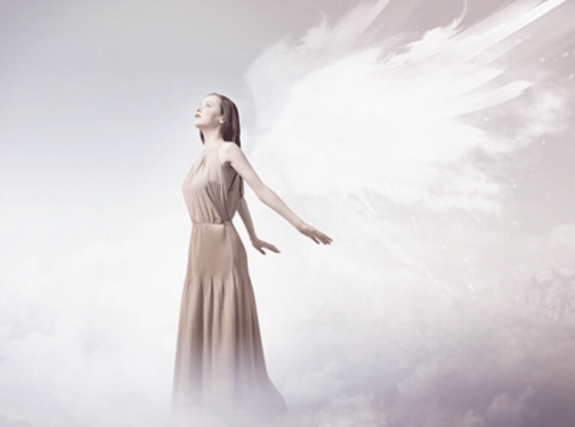 Screen Shot 2017-08-11 at 17.53.10