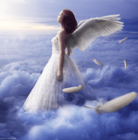 Screen Shot 2017-08-11 at 21.21.01