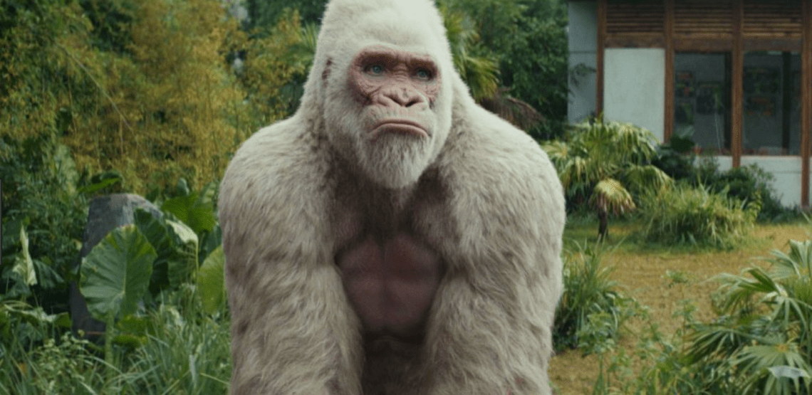 Screen Shot 2018-04-12 at 12.40.19.png