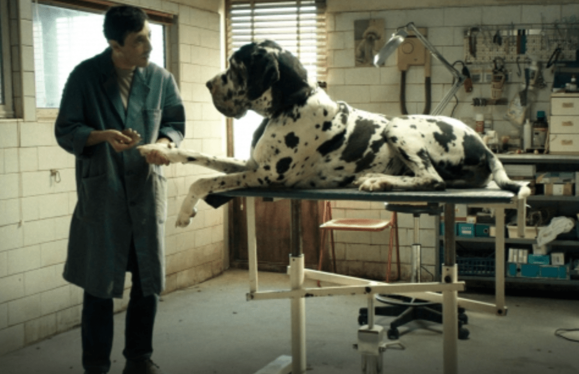 Screen Shot 2018-05-21 at 14.12.35.png