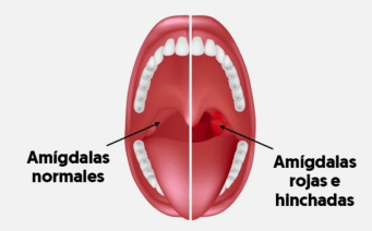 captura de pantalla 2019-01-09 a las 17.51.31
