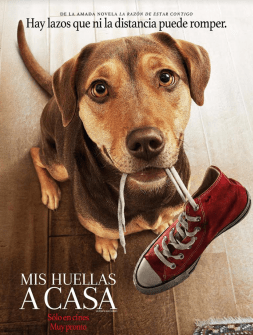 Screen Shot 2019-02-17 at 17.35.00.png