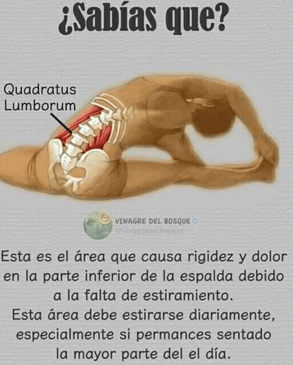 Screen Shot 2019-02-20 at 17.13.34