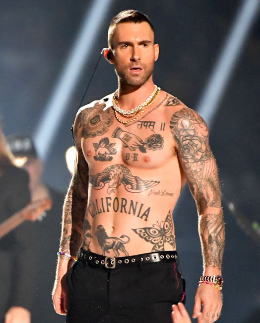 Pepsi Super Bowl LIII Halftime Show