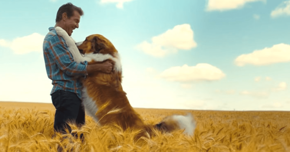 Screen Shot 2019-05-19 at 14.35.02.png