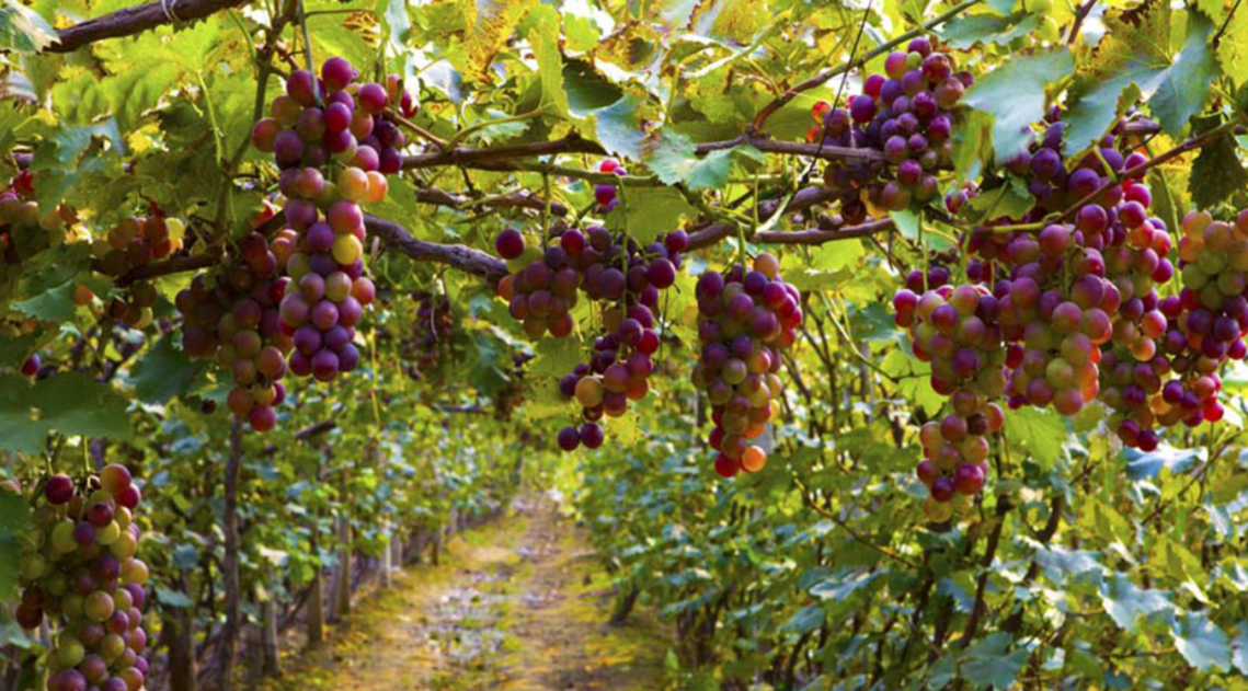 Screen Shot 2019-07-23 at 21.14.10.png