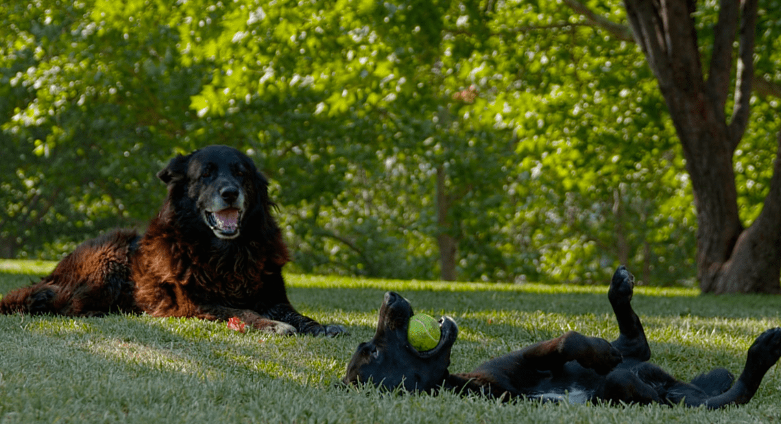 Screen Shot 2019-10-26 at 14.59.07.png