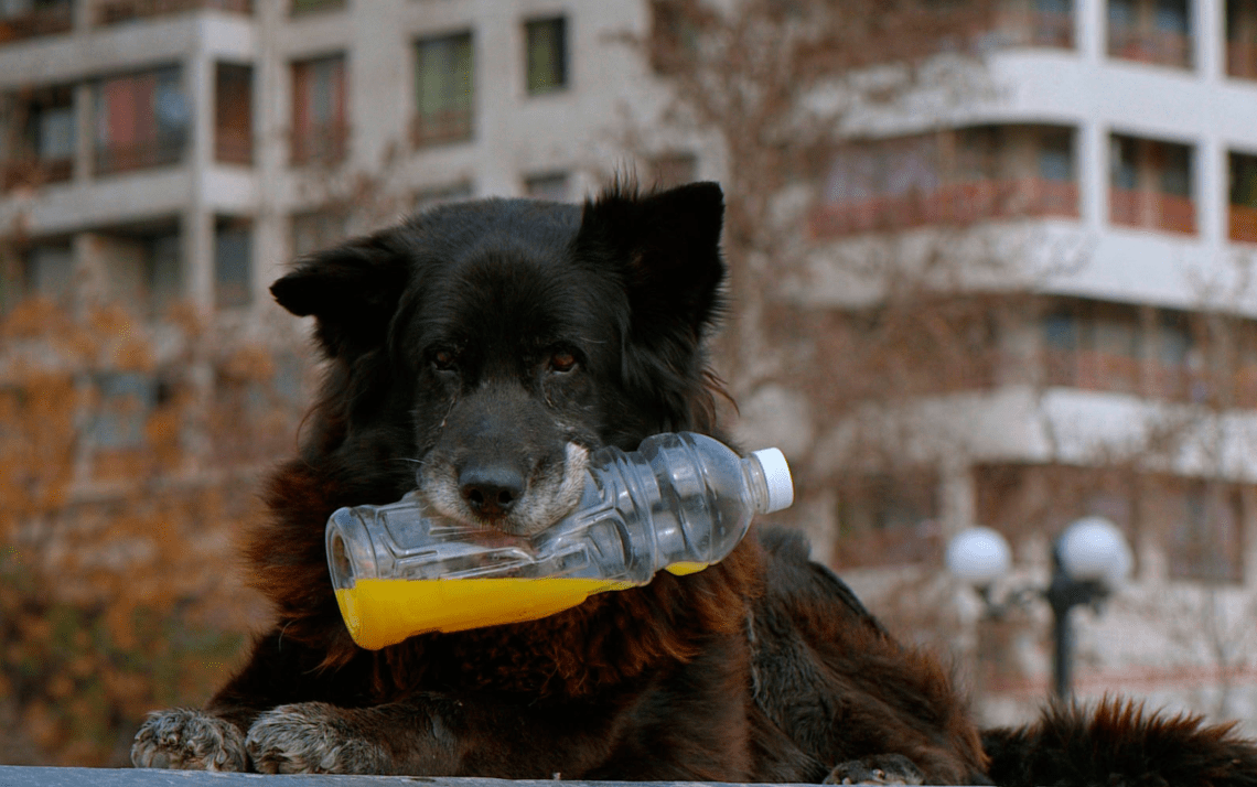 Screen Shot 2019-10-26 at 14.57.12