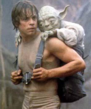 WhatsApp Image 2020-05-21 at 23.51.20-2