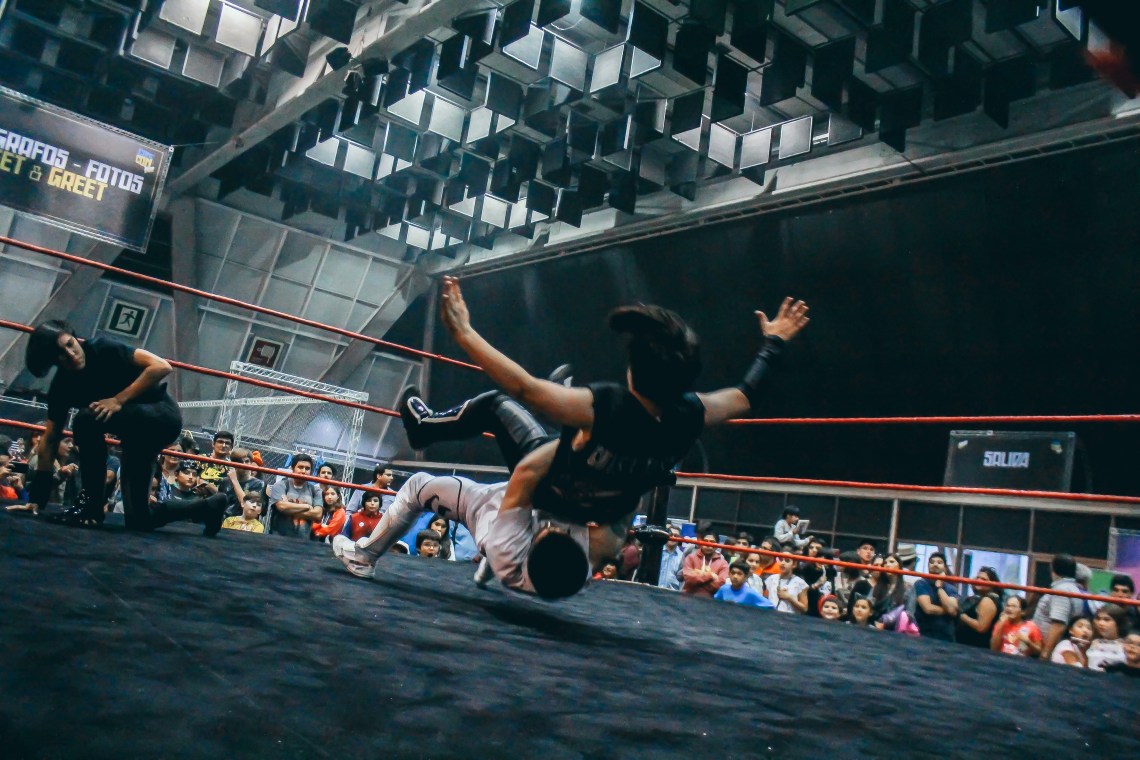 Lucha Libre 07.jpg